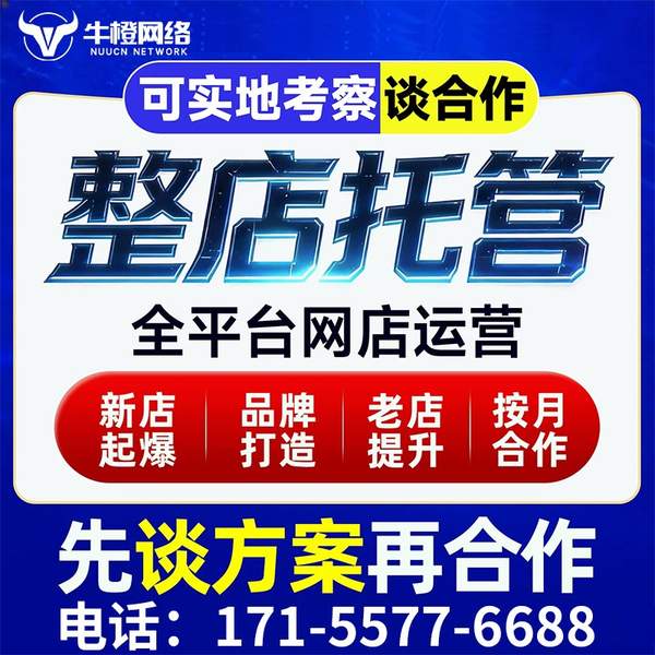 石河子电商代运营