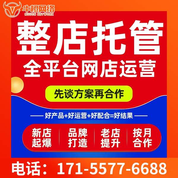 石河子电商代运营