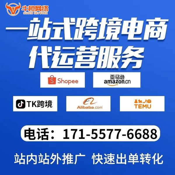 石河子电商代运营
