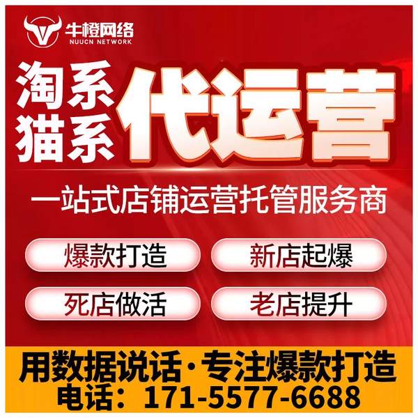 石河子电商代运营